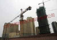 崗集金地麗景7#樓塔機(jī)項(xiàng)目